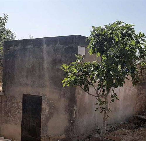 Terreno a Tricase - Foto 3