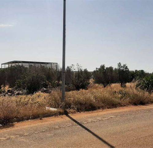 Terreno a Tricase - Foto 4