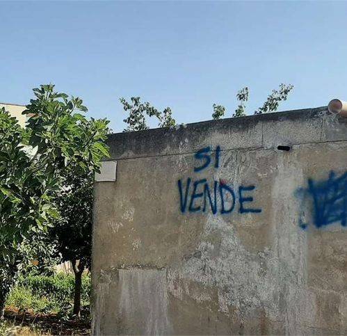 Terreno a Tricase - Foto 5