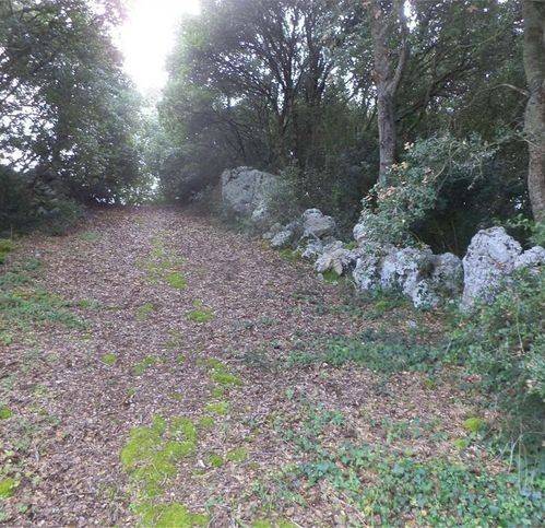 Terreno a Tricase in Via Della Vasca - Foto 3