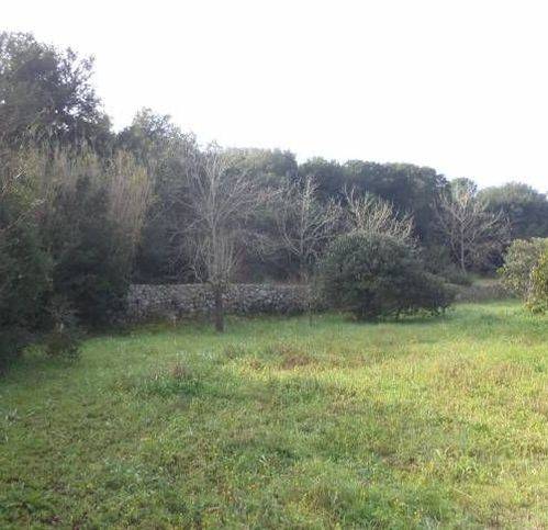 Terreno a Tricase - Foto 5