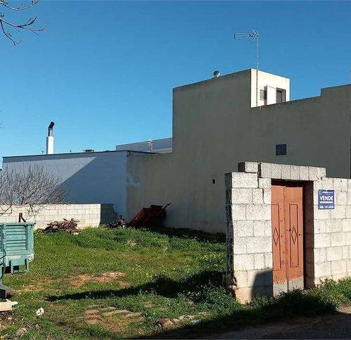 Terreno a Corsano - Foto 3