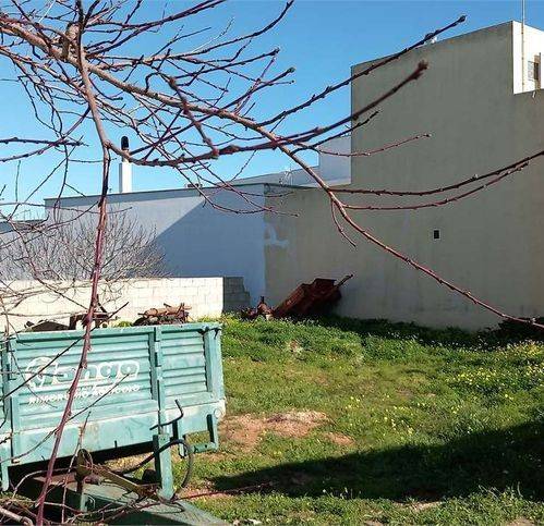 Terreno a Corsano - Foto 4