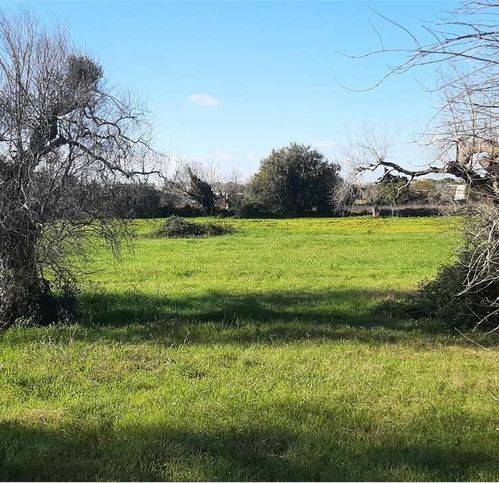 Terreno a Tiggiano in Via Murge - Foto 2