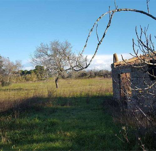 Terreno a Tricase in Contrada Campo Tomasi - Foto 2