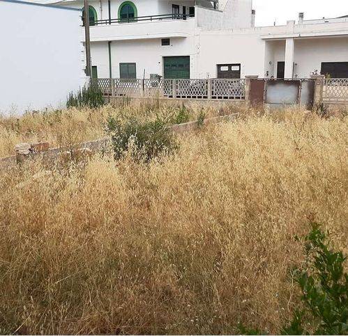Terreno a Presicce-acquarica in Via G. Oberdan - Foto 5