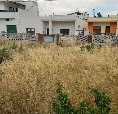 Terreno a Presicce-acquarica in Via G. Oberdan - Foto 2