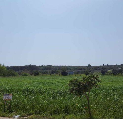 Terreno a Salve in Strada Provinciale 73 - Foto 5