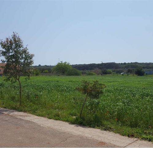 Terreno a Salve in Via La Zazzera - Foto 5