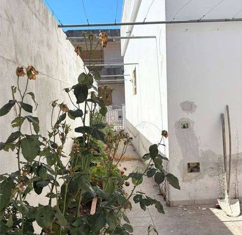 Villa a Tiggiano - Foto 3