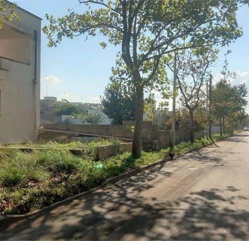 Villa a Specchia - Foto 2