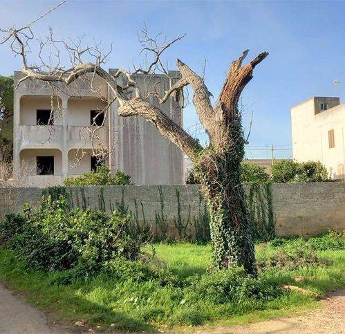 Villa a Tricase - Foto 5