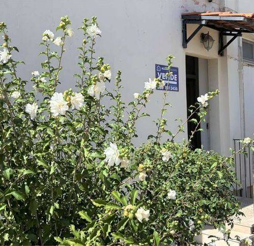 Villa a Tricase - Foto 3