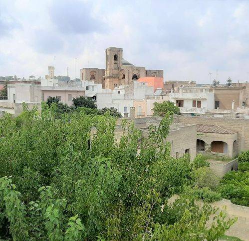 Appartamento a Alessano - Foto 2