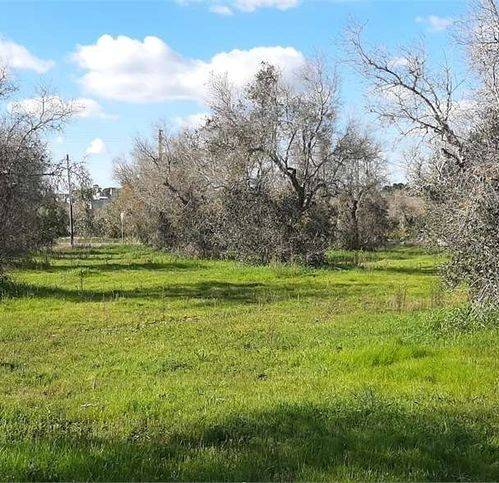 Villa a Tricase - Foto 4