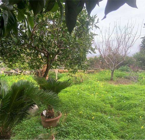 Villa a Specchia - Foto 2