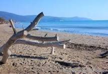 Villa a Grosseto in Strada Provinciale Alberese - Foto 3