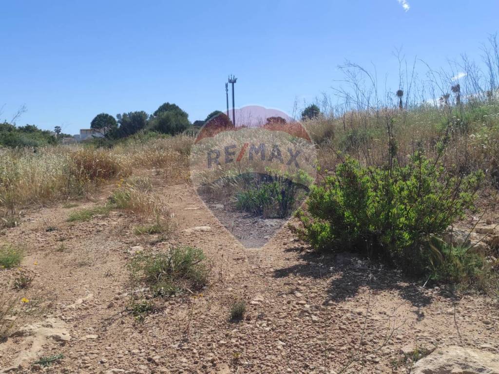 Terreno a Noto in Contrada Reitani - Foto 4