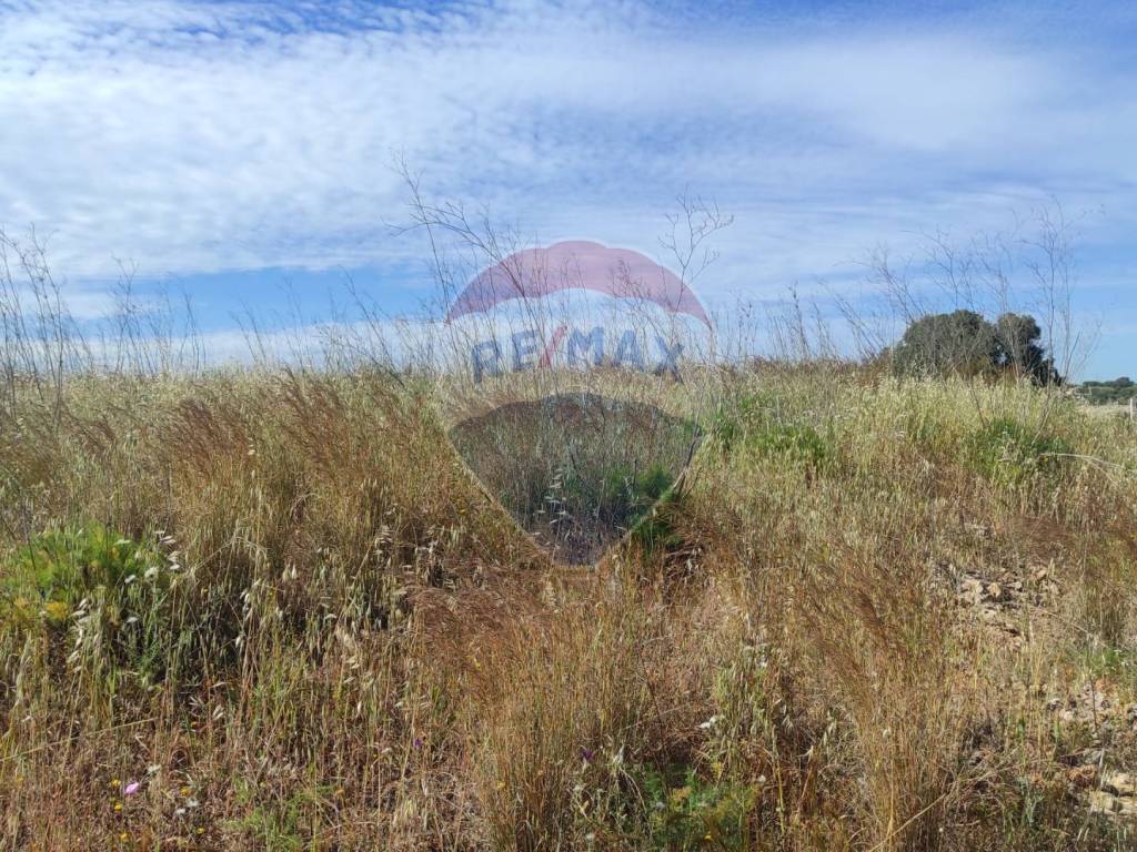 Terreno a Noto in Contrada Reitani - Foto 5