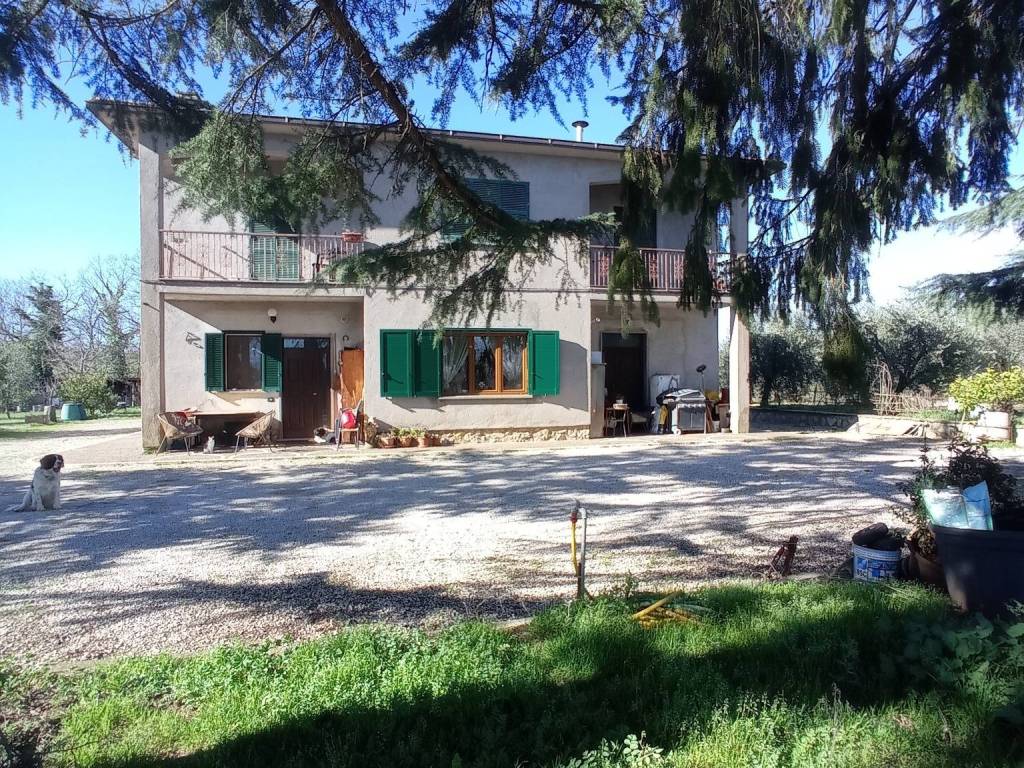 Appartamento a Castiglione in teverina in Strada Provinciale Lubrianese - Foto 2