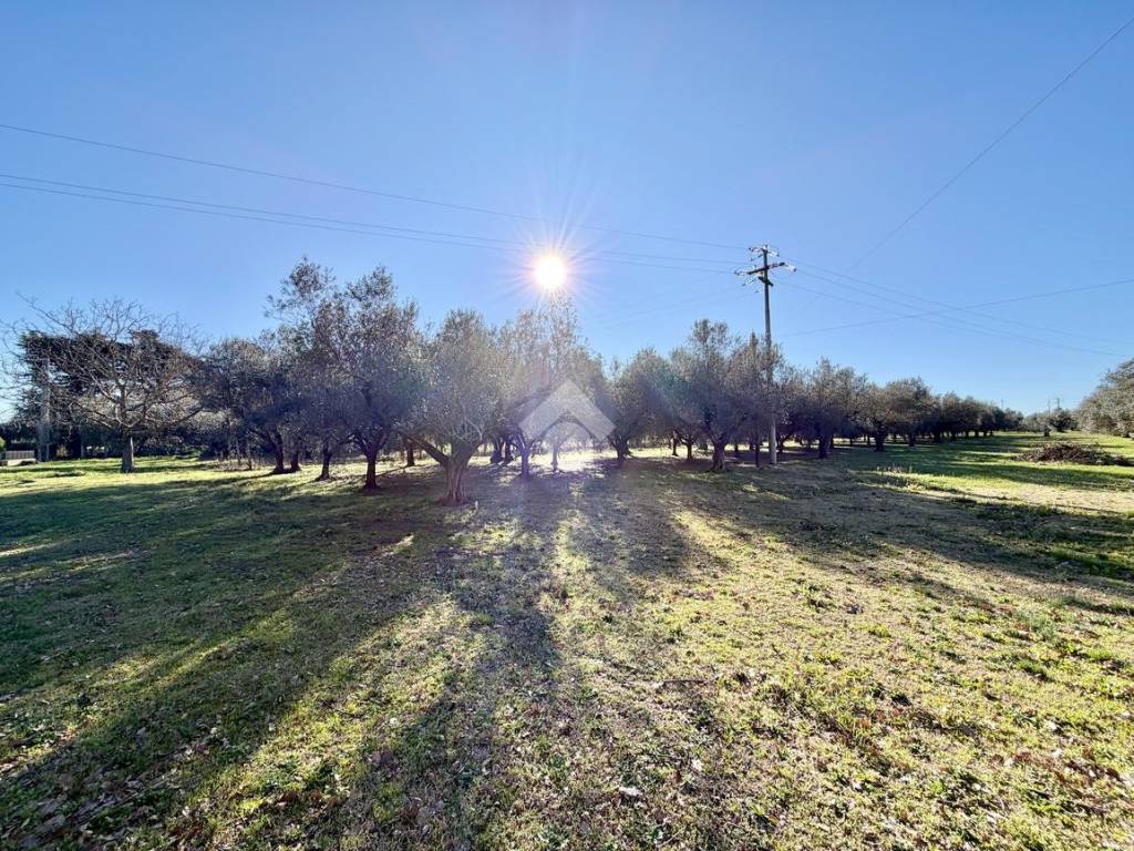 Terreno a Viterbo in STRADA CAPRINI - Foto 4