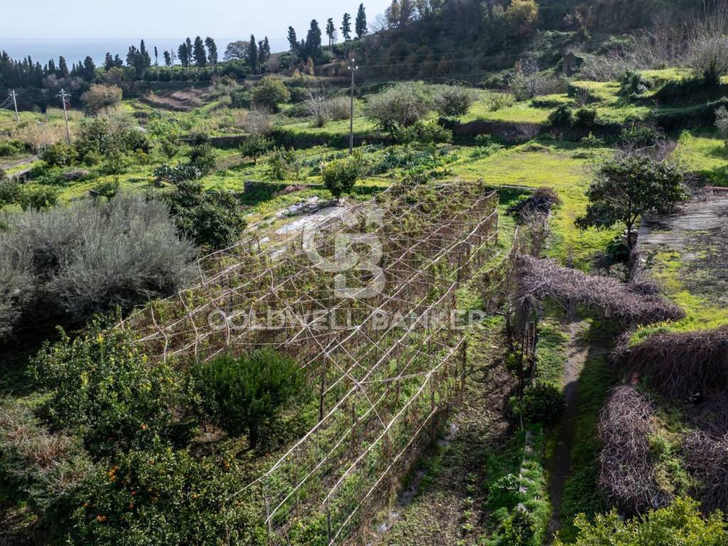Terreno a Mascali in Viale Kennedy - Foto 2