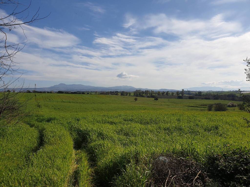 Terreno a Pomezia in Via delle Vittorie, 1 - Foto 2