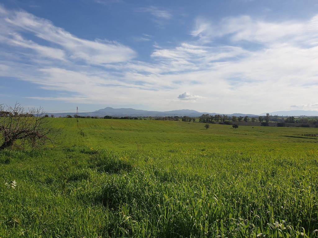 Terreno a Pomezia in Via delle Vittorie, 1 - Foto 4
