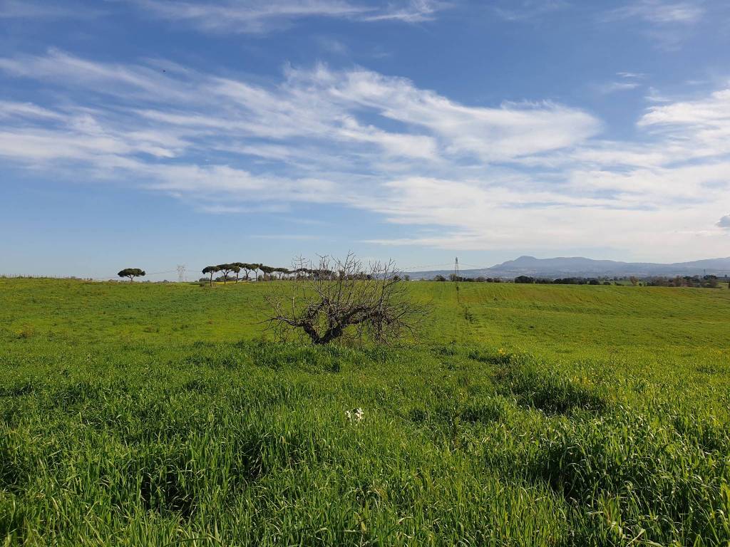 Terreno a Pomezia in Via delle Vittorie, 1 - Foto 5