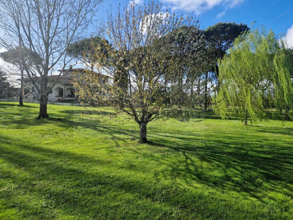 Villa a Pietrasanta - Foto 3