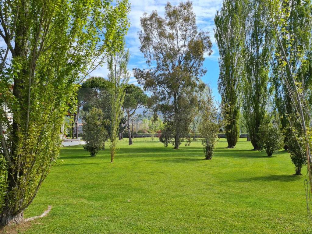 Villa a Pietrasanta - Foto 4