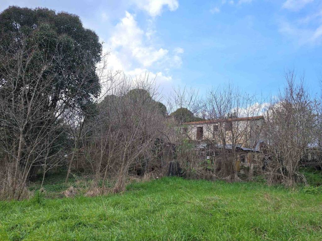 Rustico / casale a Nereto in Via Certosa, 22 - Foto 4