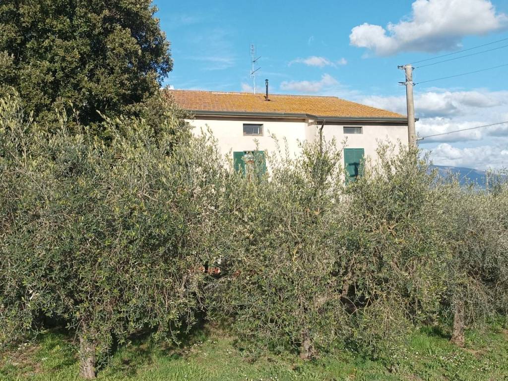 Villa a Torgiano in Via Assisi - Foto 2