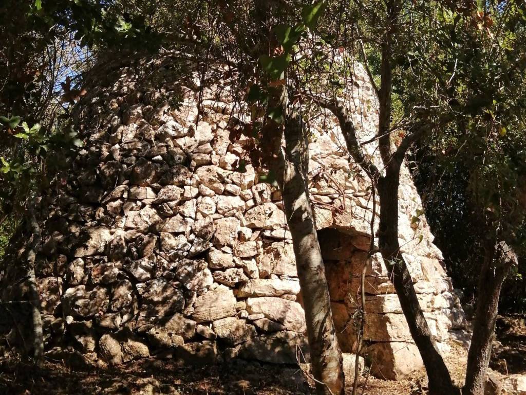Terreno a Patù in Strada Comunale Monti San Giovanni - Foto 3