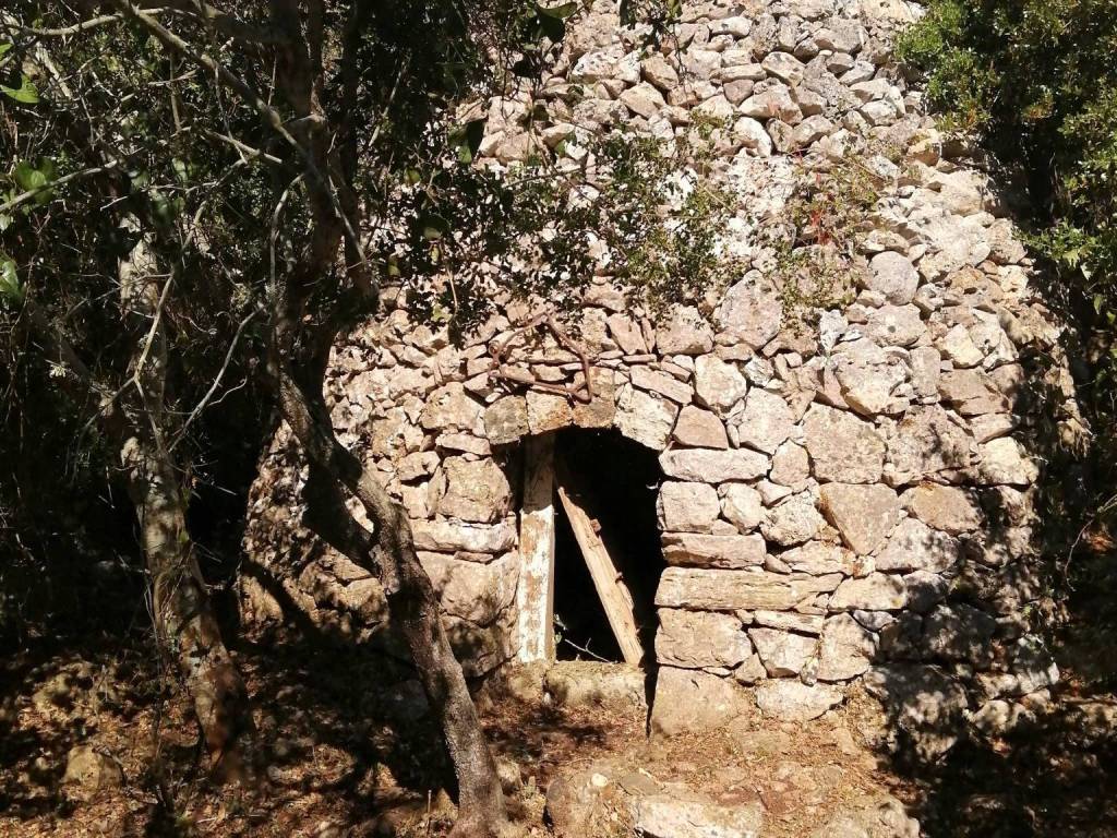 Terreno a Patù in Strada Comunale Monti San Giovanni - Foto 4