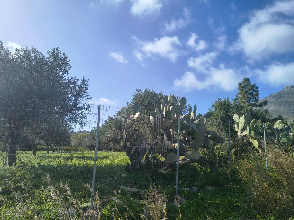 Terreno a Valderice in Via Martognella - Foto 3