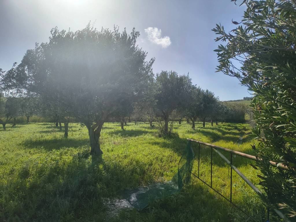 Terreno a Valderice in Via Martognella - Foto 4