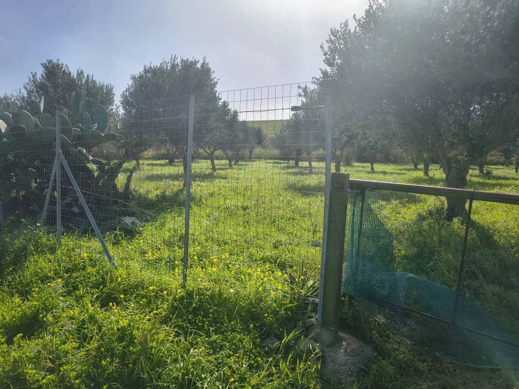 Terreno a Valderice in Via Martognella - Foto 5