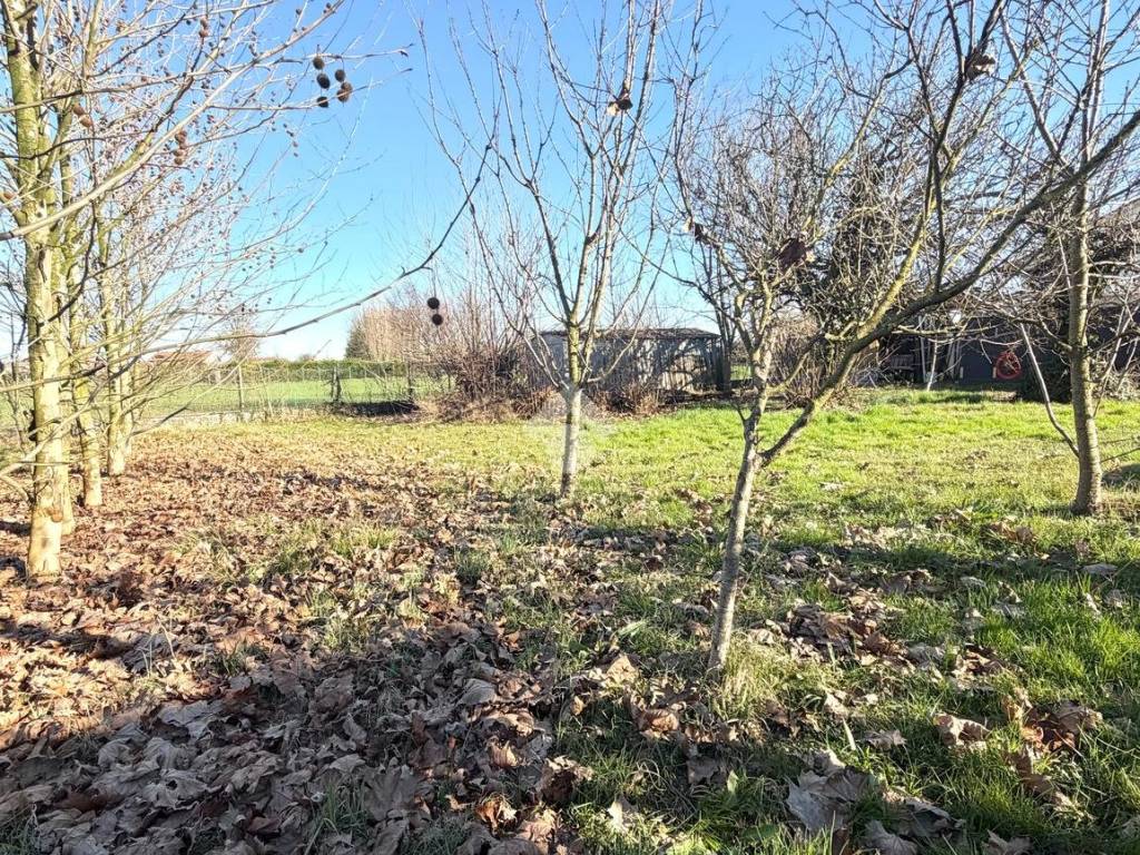 Terreno a Rubano in Viale Po, 2 - Foto 4