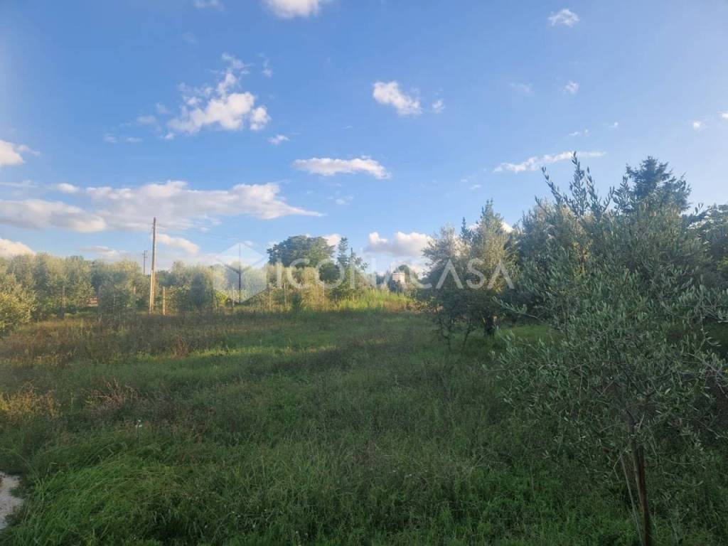 Terreno a Ciampino in Via degli Uliveti - Foto 2