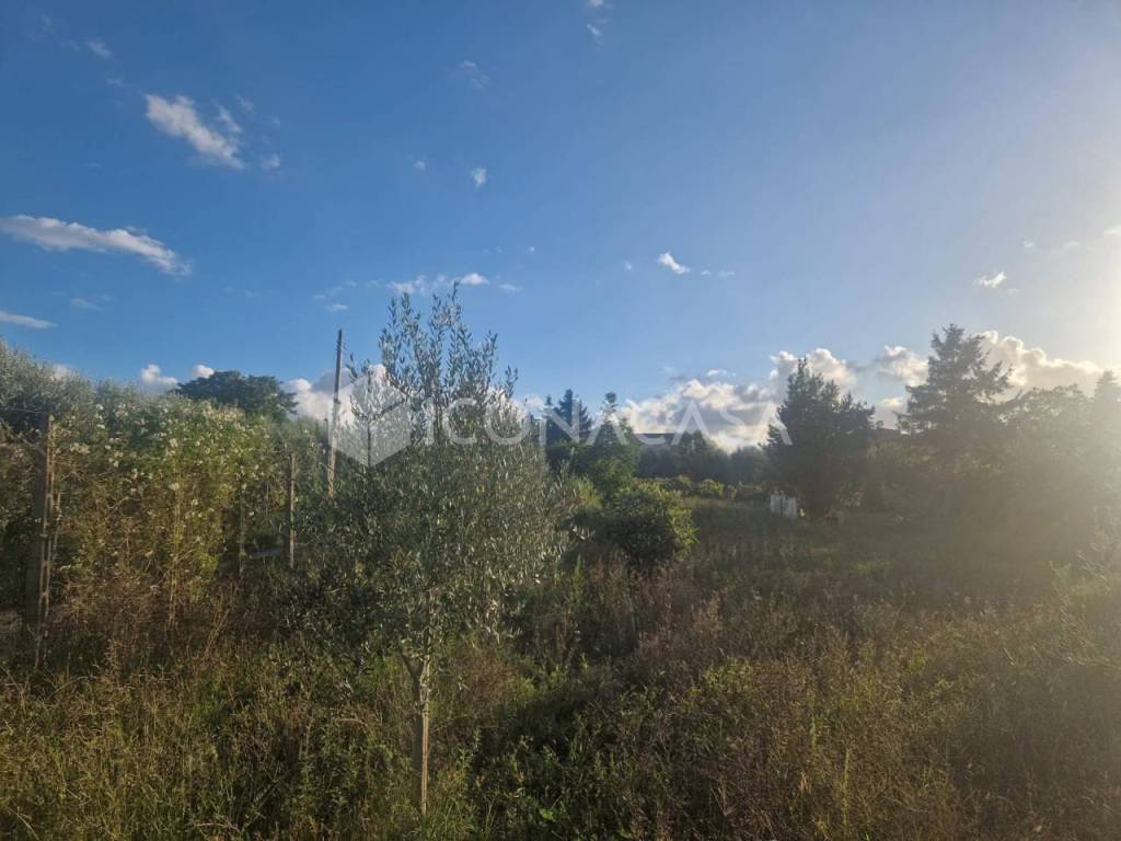 Terreno a Ciampino in Via degli Uliveti - Foto 3