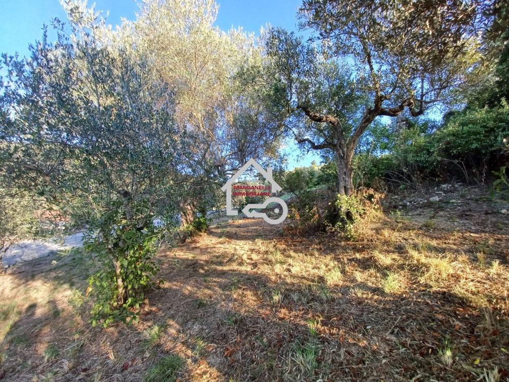 Terreno a Ogliastro cilento in Via Chiuselle, 12 - Foto 3