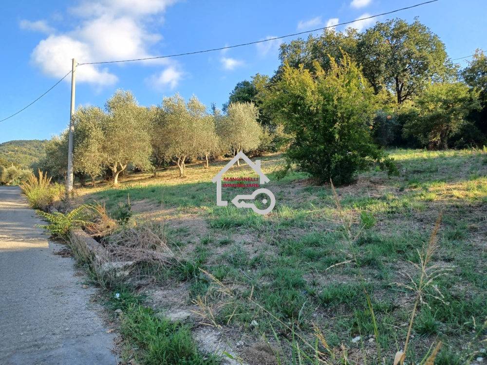 Terreno a Ogliastro cilento in Via Chiuselle, 12 - Foto 5