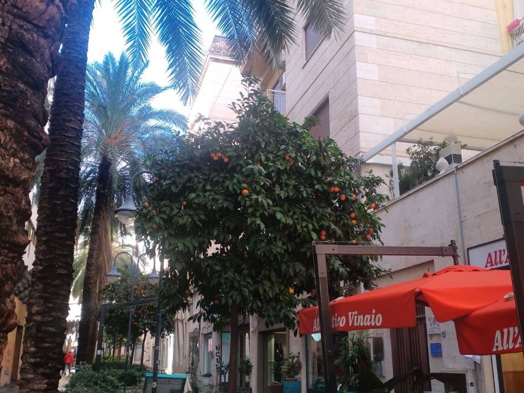 Immobile a Palermo in Via Generale Vincenzo Magliocco, 24 - Foto 2