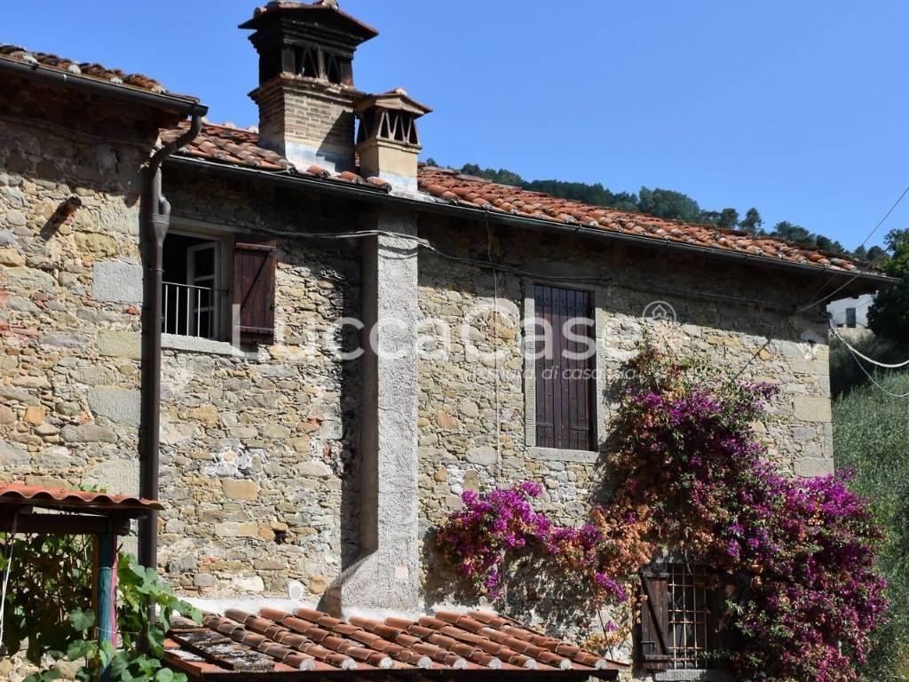 Rustico / casale a Capannori - Foto 3