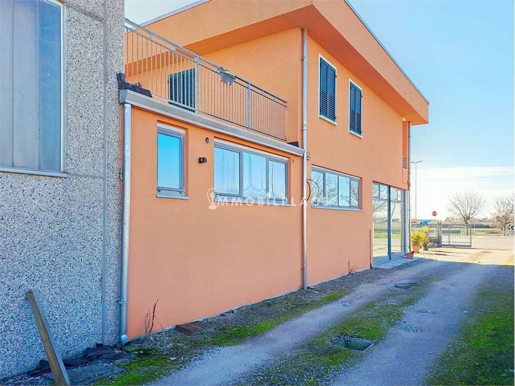 Villa a Cerea - Foto 4