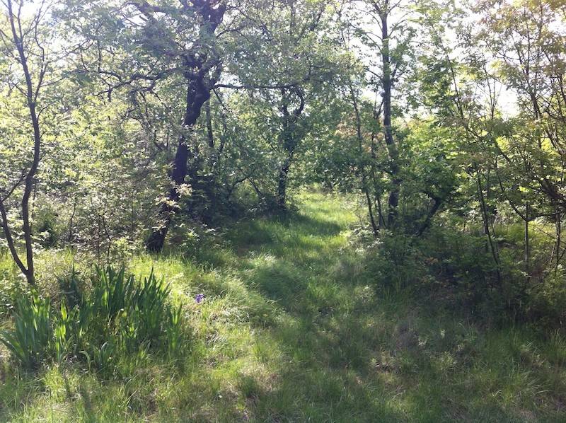 Terreno a Duino-aurisina - Foto 2