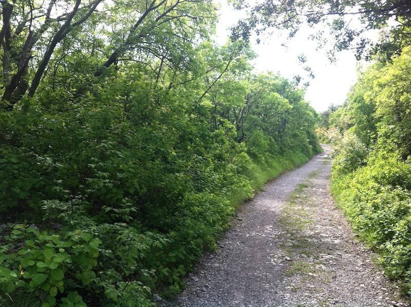 Terreno a Duino-aurisina - Foto 3