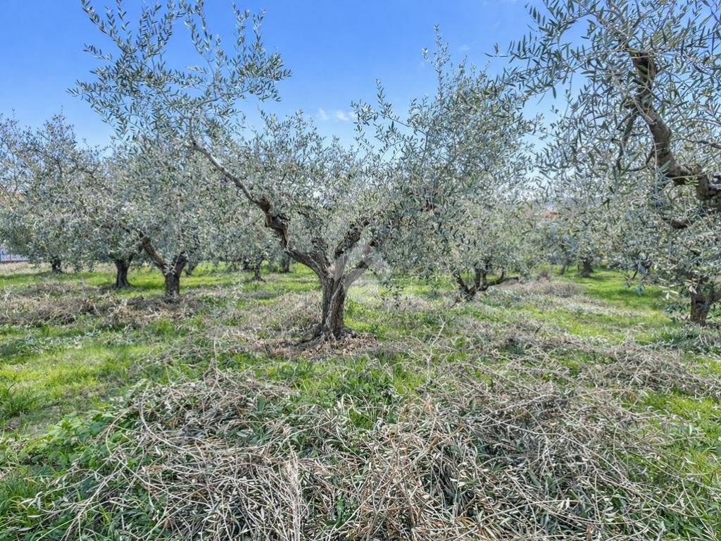 Terreno a Silvi in Via Piscella, 12 - Foto 3
