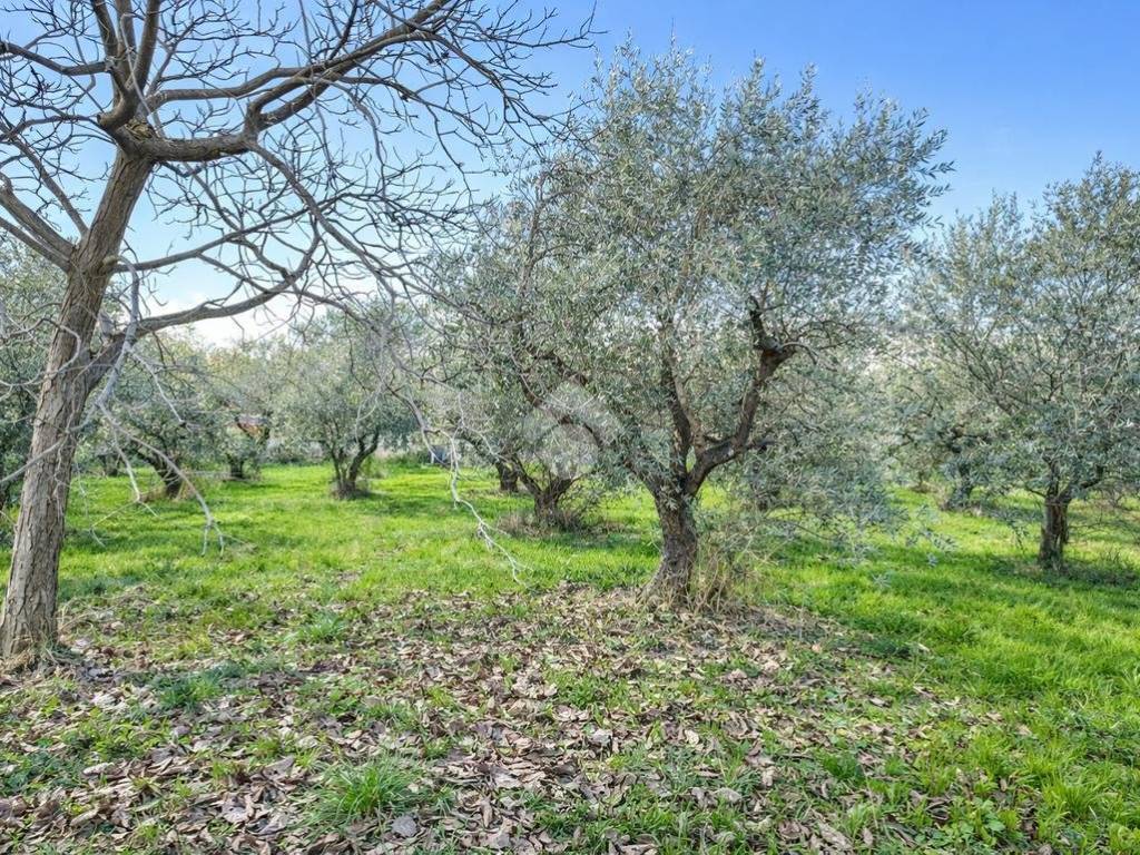 Terreno a Silvi in Via Piscella, 12 - Foto 5